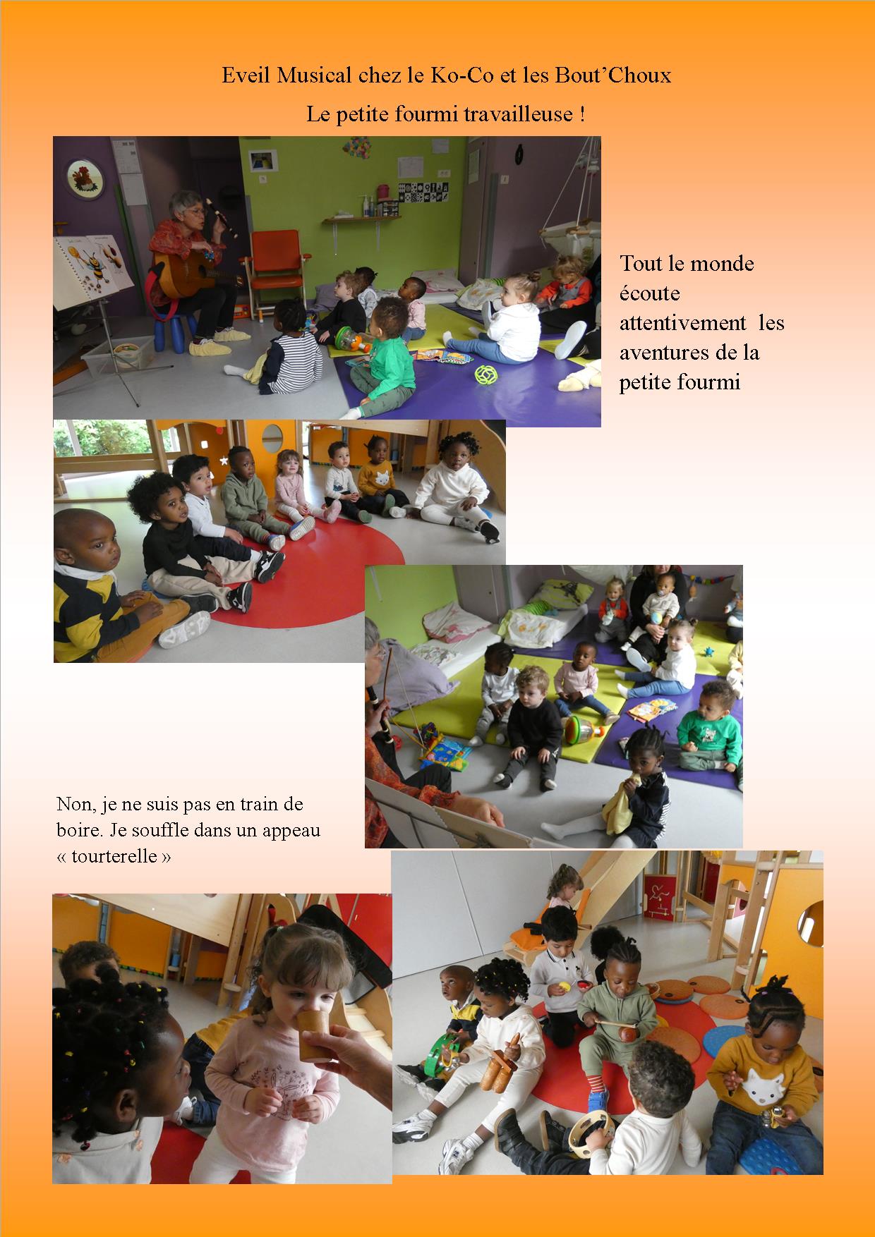 la petite fourmi.jpg